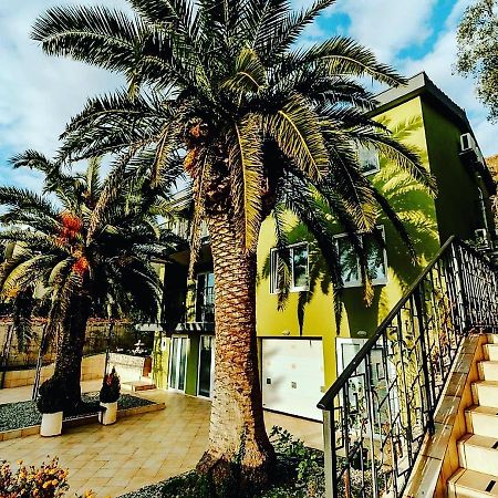 Palm Point Apartment Petrovac Exterior photo
